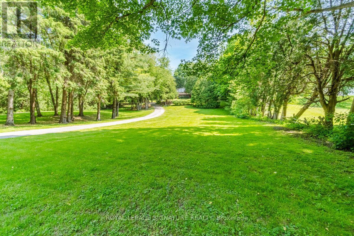 3225 Greenwood Road, Pickering, Ontario  L1X 0J3 - Photo 4 - E12187579