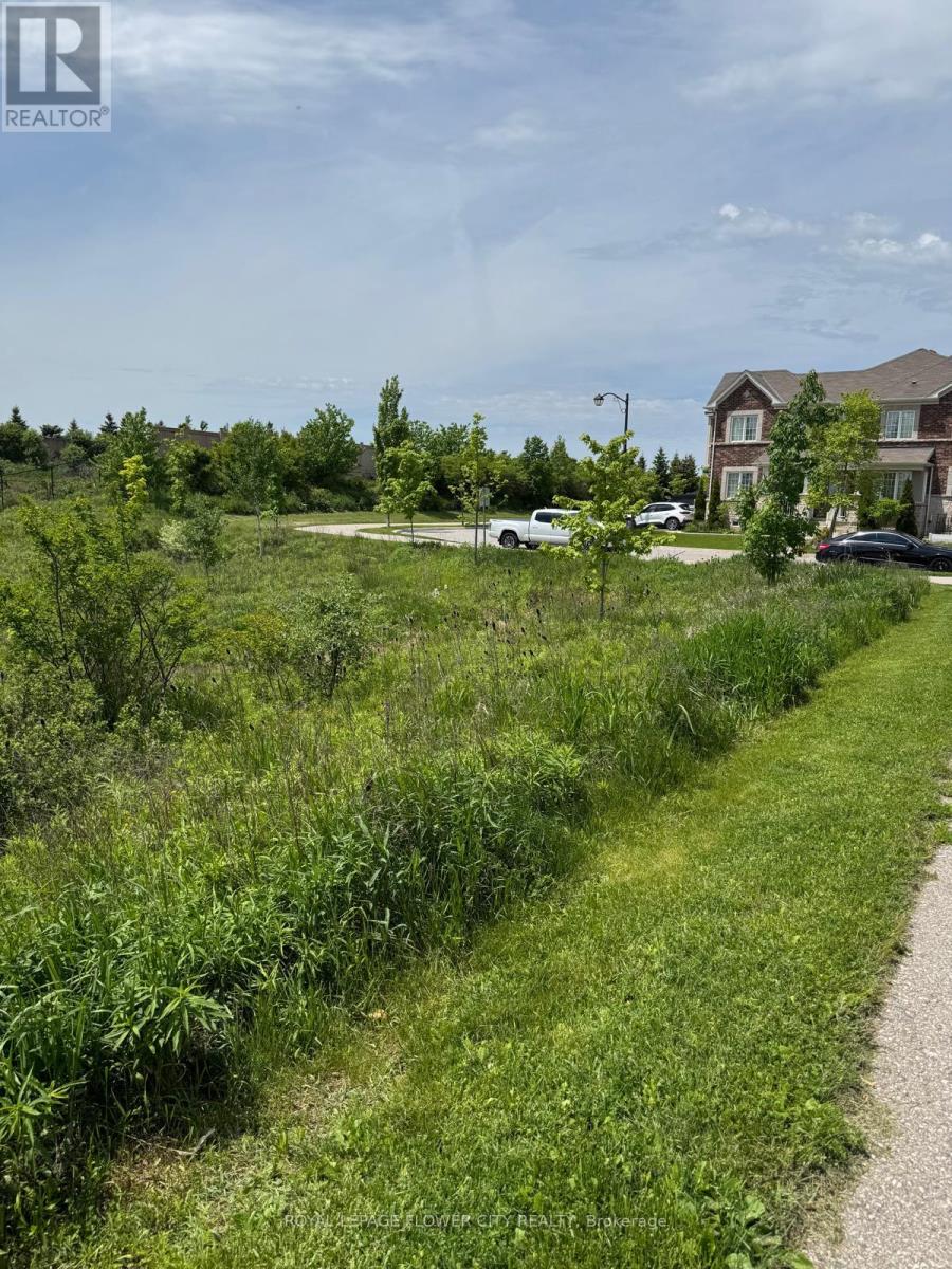 29 Reichert Court, Milton, Ontario  L9T 8R7 - Photo 5 - W12187570