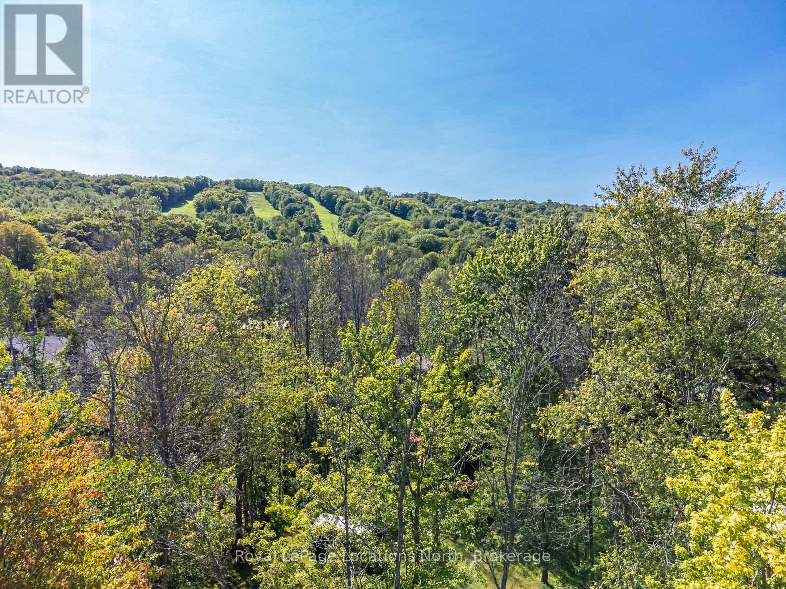 120 Patricia Drive, Blue Mountains, Ontario  L9Y 0P1 - Photo 4 - X12187651