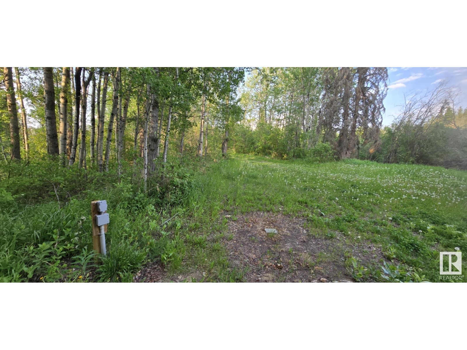 Property at 30 Shadow Lane Est, Skeleton Lake image 5