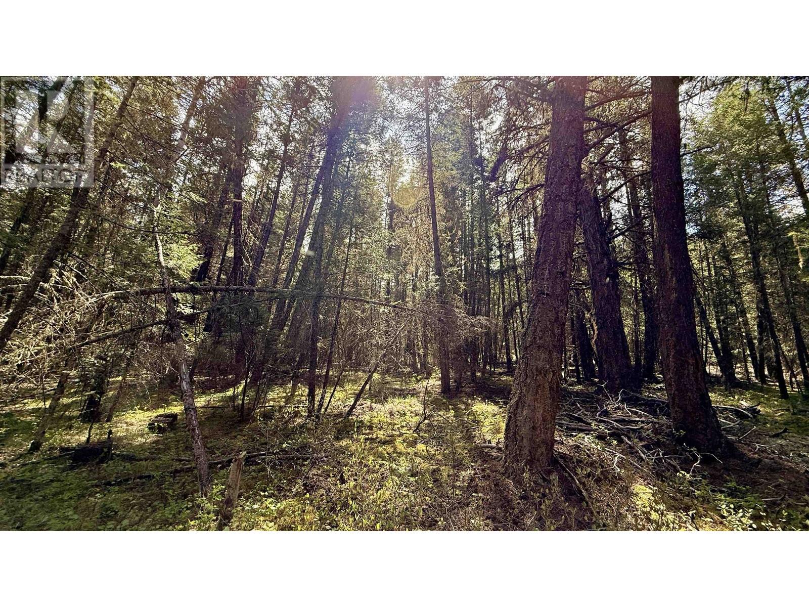 4460 Tatton-Helena Fs Road, Lac La Hache, British Columbia  V0K 1T0 - Photo 21 - R3003622