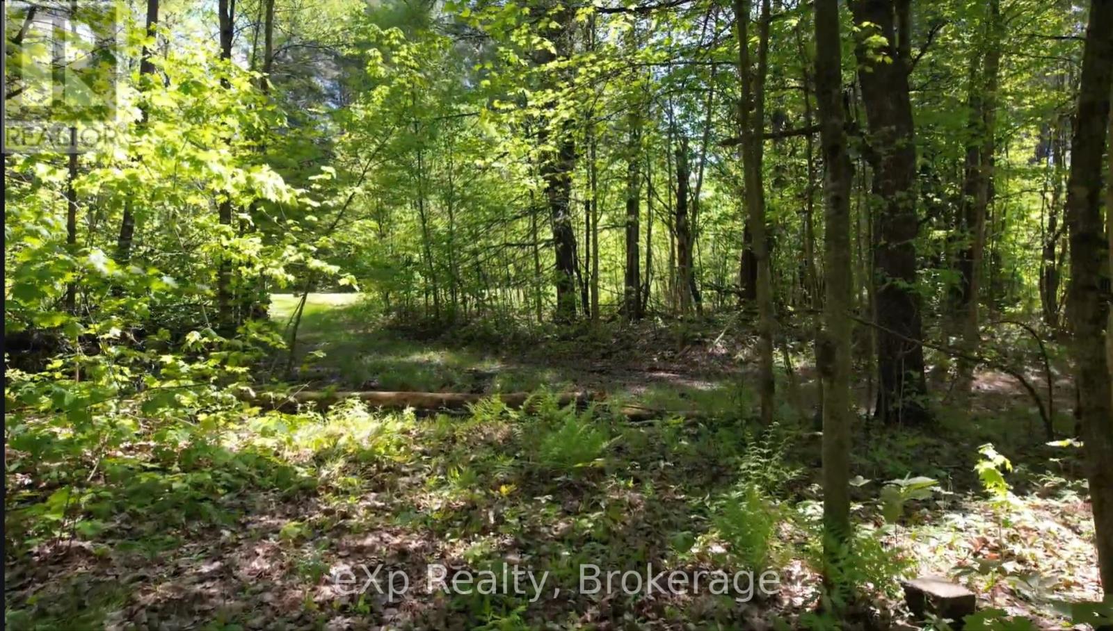 26 Magnet Road, Magnetawan, Ontario P0A 1P0 - Photo 7 - X12106593