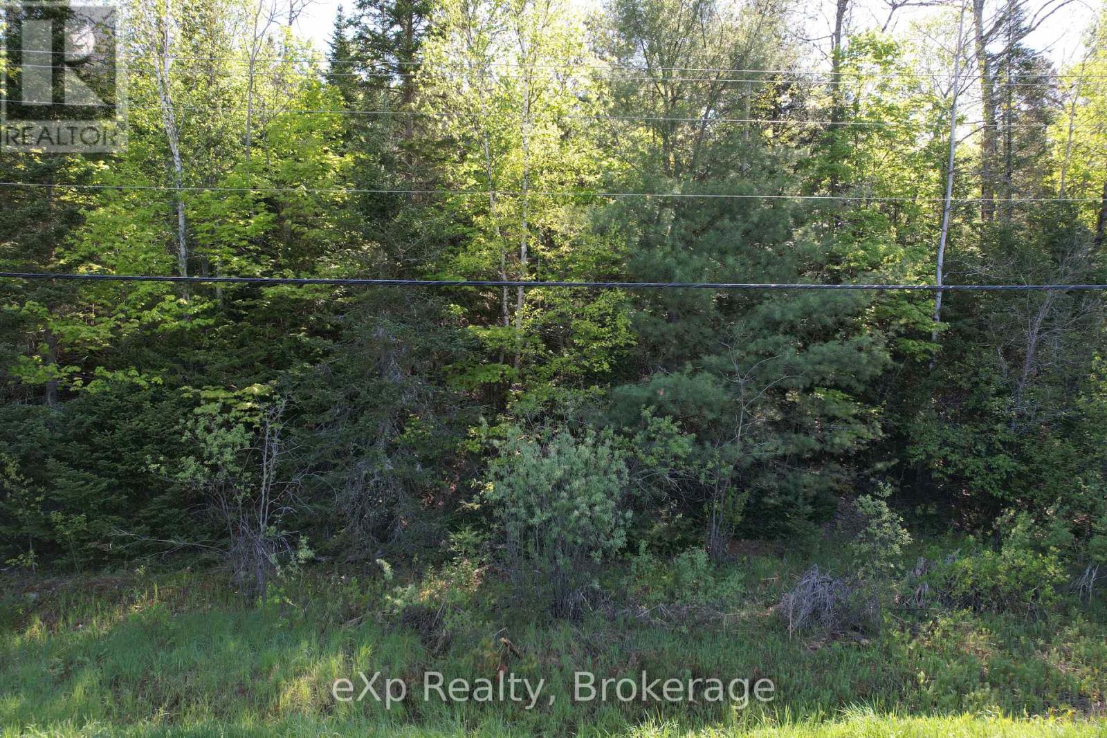 457 Centre Road, Mckellar, Ontario  P0G 1C0 - Photo 39 - X12003077