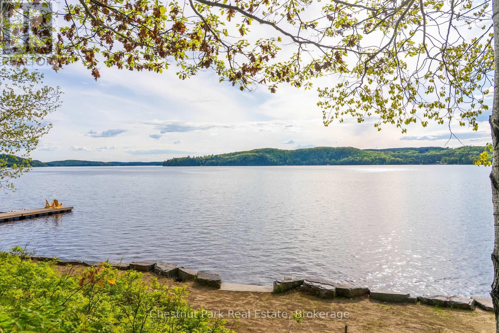 1091 Dwight Beach Road, Lake Of Bays, Ontario  P0A 1H0 - Photo 10 - X12187940