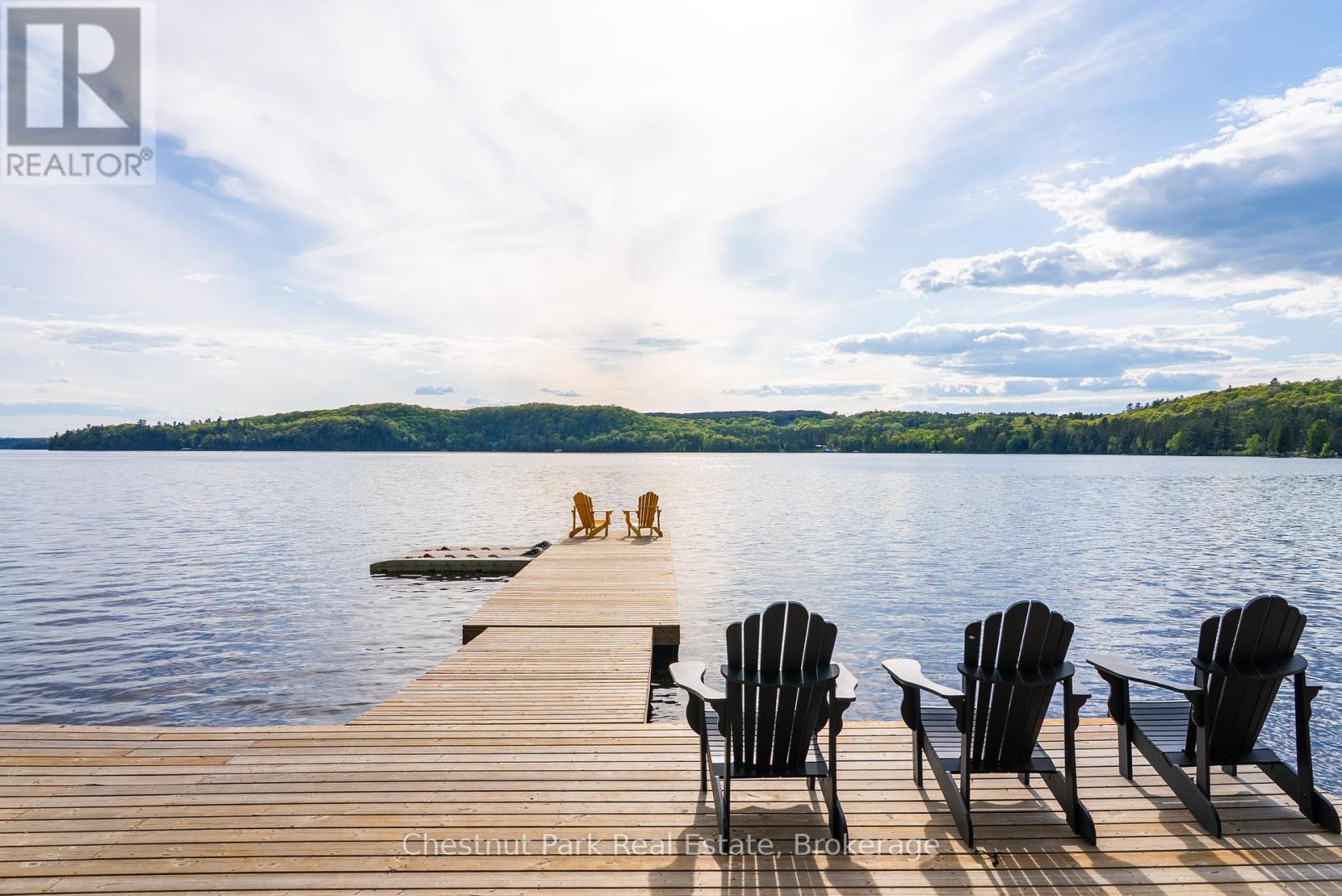 1091 Dwight Beach Road, Lake Of Bays, Ontario  P0A 1H0 - Photo 11 - X12187940