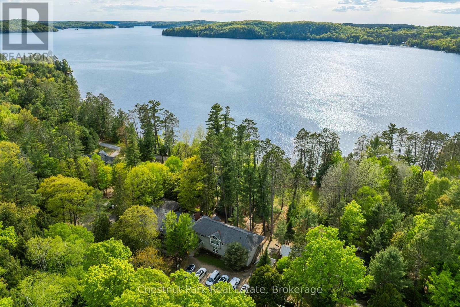 1091 Dwight Beach Road, Lake Of Bays, Ontario  P0A 1H0 - Photo 4 - X12187940