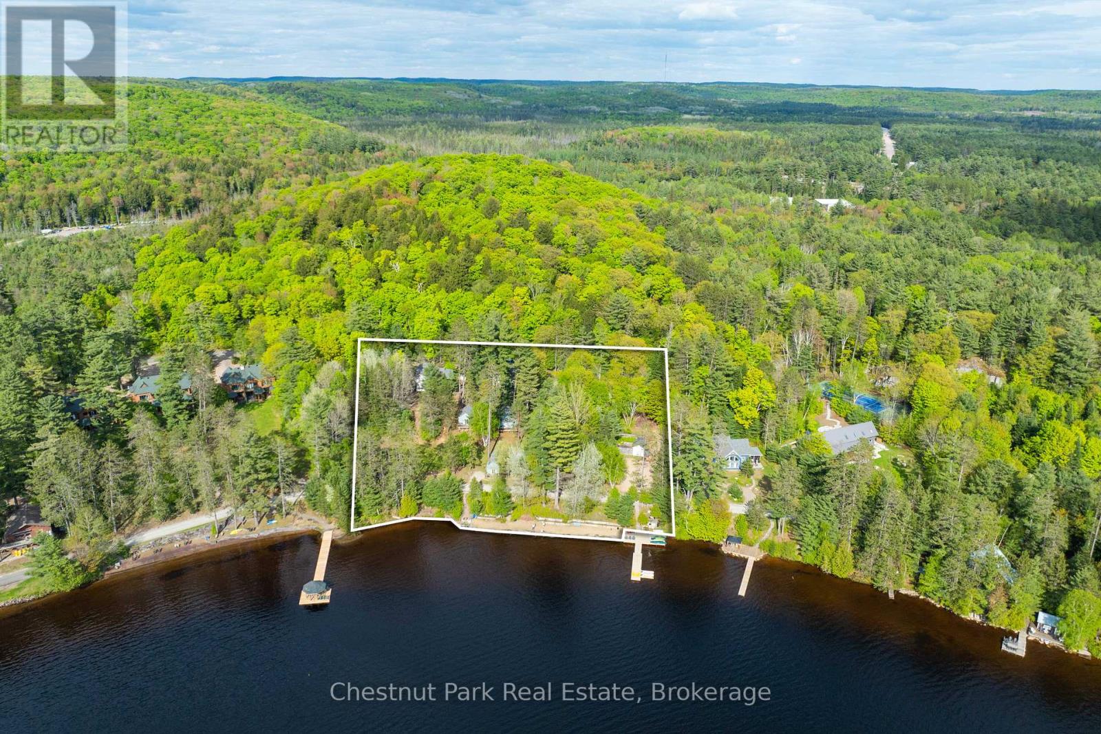 1091 Dwight Beach Road, Lake Of Bays, Ontario  P0A 1H0 - Photo 5 - X12187940