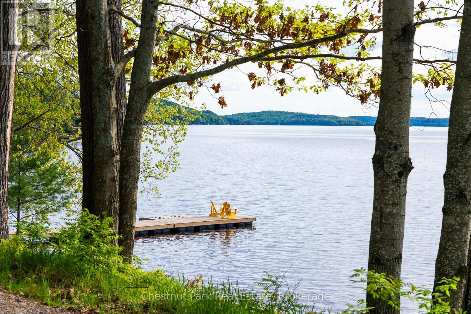 1091 Dwight Beach Road, Lake Of Bays, Ontario  P0A 1H0 - Photo 8 - X12187940