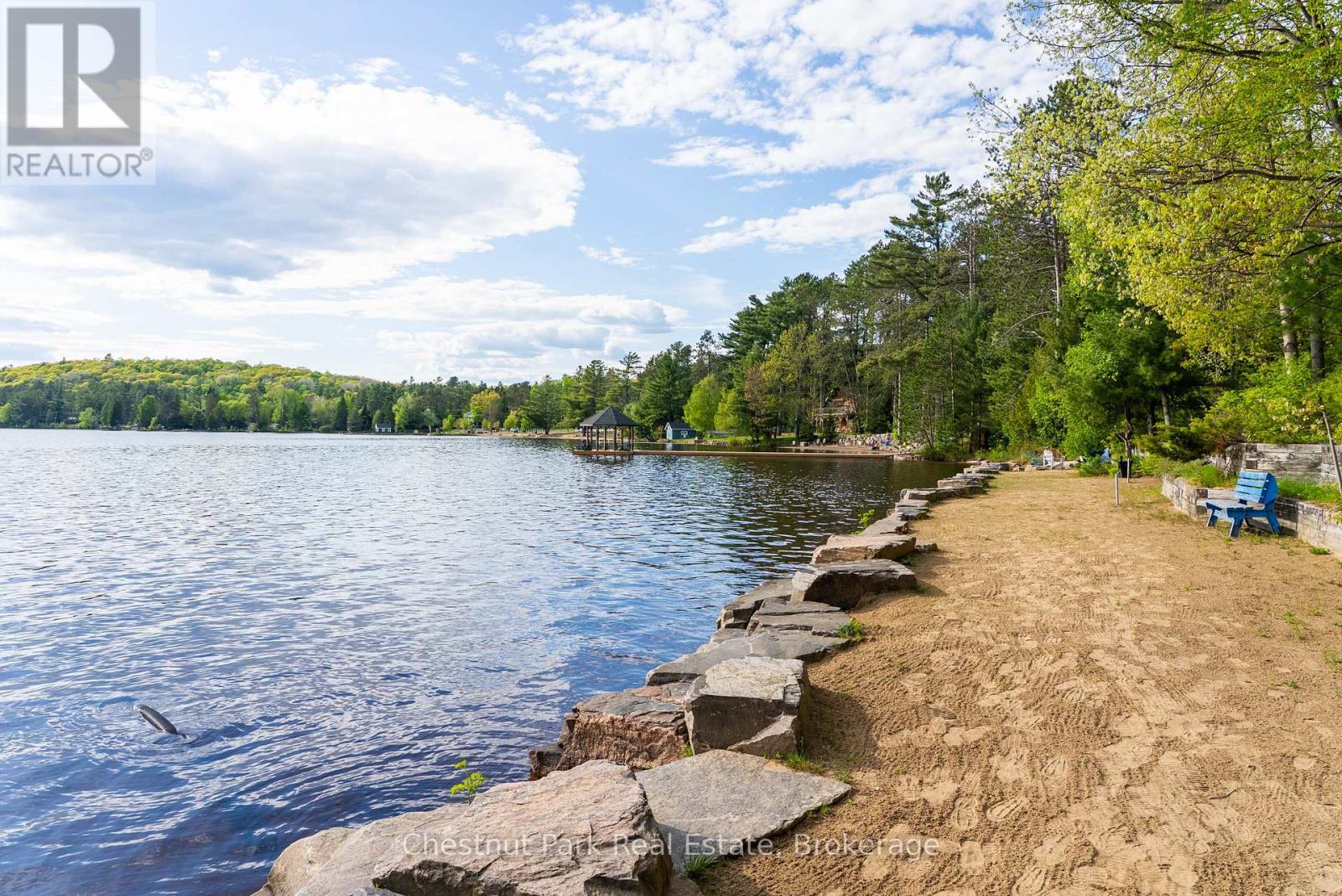 1091 Dwight Beach Road, Lake Of Bays, Ontario  P0A 1H0 - Photo 9 - X12187940