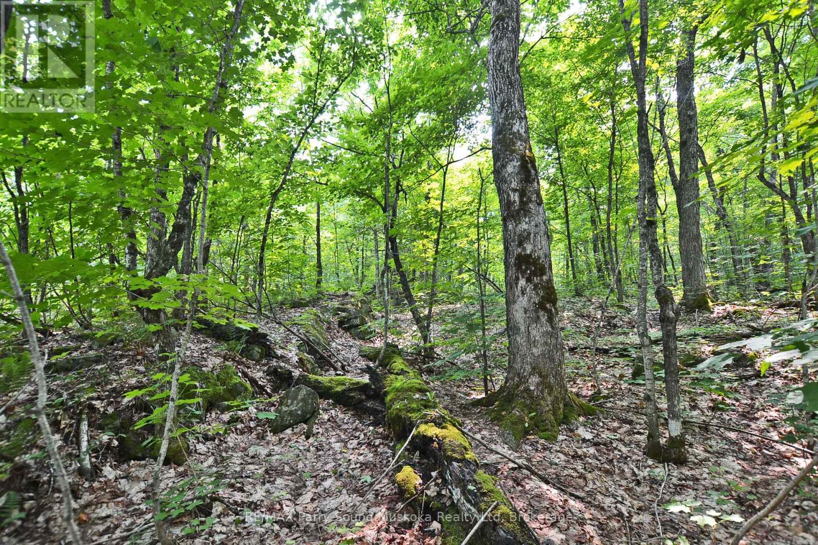 Part 2 - 0 Lyndsey Lane, Mckellar, Ontario  P2A 0B5 - Photo 1 - X11997185