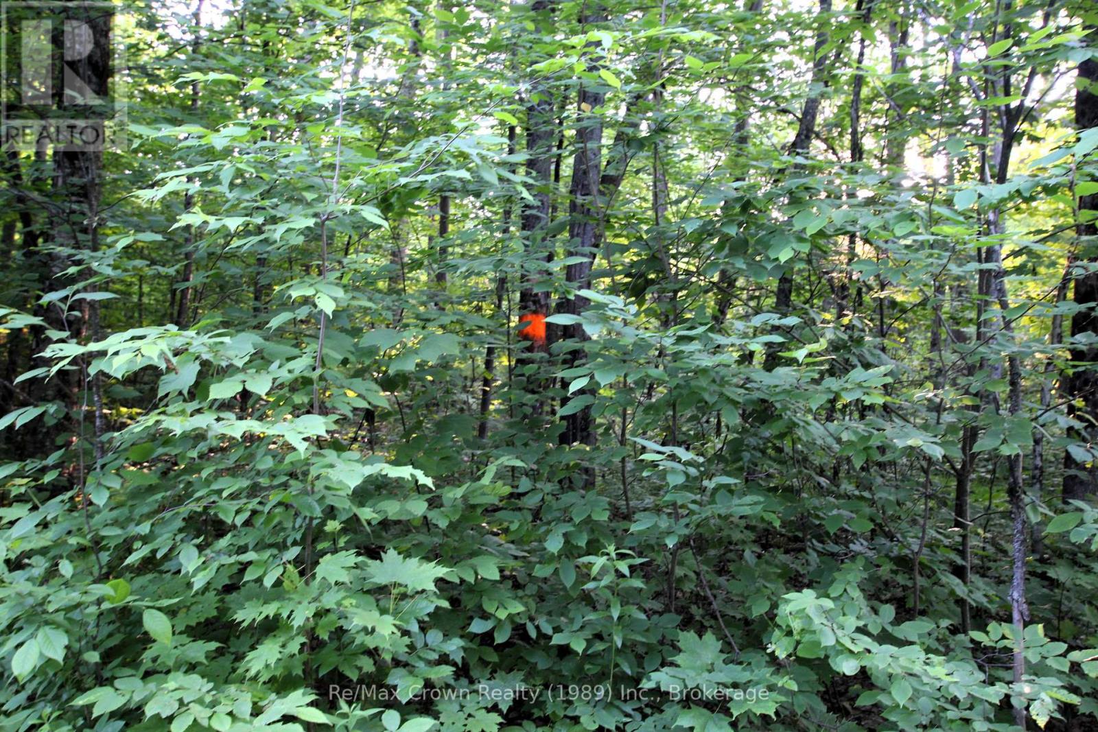 0a Pilgers Rd Road, Nipissing, Ontario  P0H 1J0 - Photo 12 - X12188090