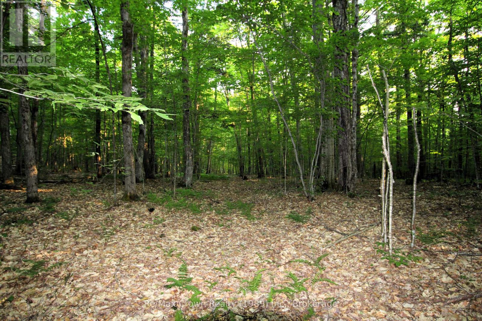 0a Pilgers Rd Road, Nipissing, Ontario  P0H 1J0 - Photo 9 - X12188090