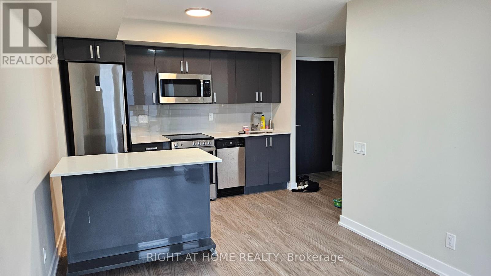 507 - 38 Monte Kwinter Court, Toronto, Ontario  M3H 0E2 - Photo 4 - C12188110