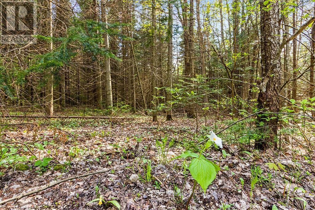 132 South View Lane, Grey Highlands, Ontario  N0C 1B0 - Photo 18 - X12185515