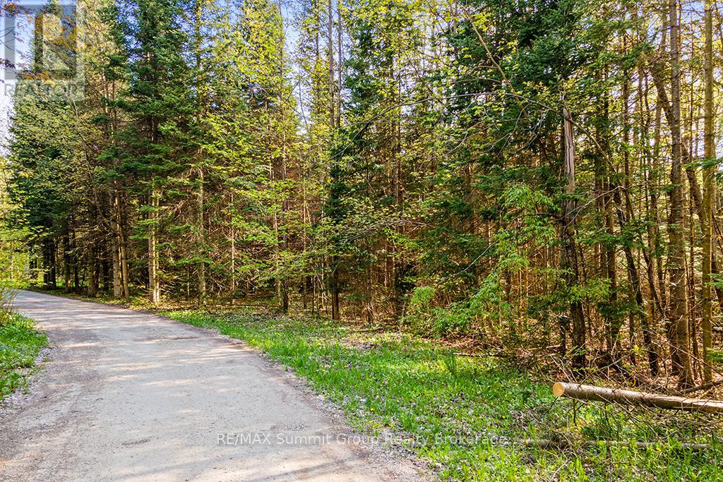 132 South View Lane, Grey Highlands, Ontario  N0C 1B0 - Photo 13 - X12185515