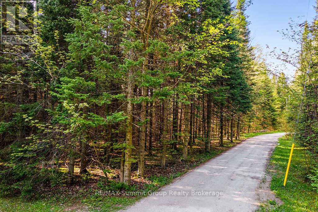 132 South View Lane, Grey Highlands, Ontario  N0C 1B0 - Photo 12 - X12185515