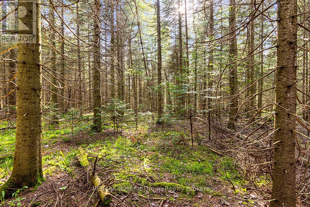 132 South View Lane, Grey Highlands, Ontario  N0C 1B0 - Photo 20 - X12185515