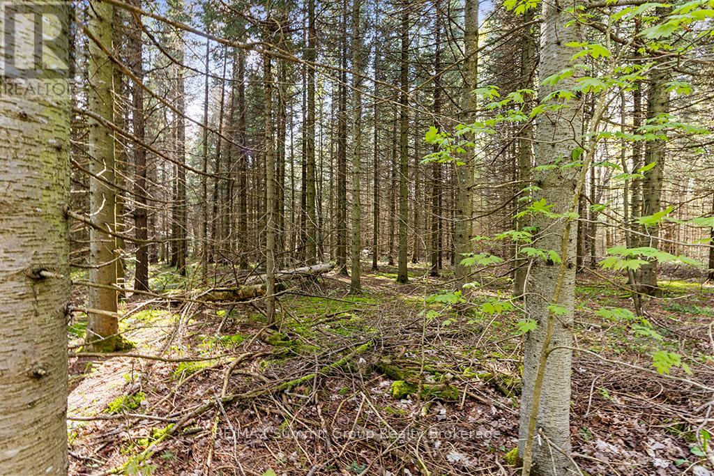 132 South View Lane, Grey Highlands, Ontario  N0C 1B0 - Photo 14 - X12185515