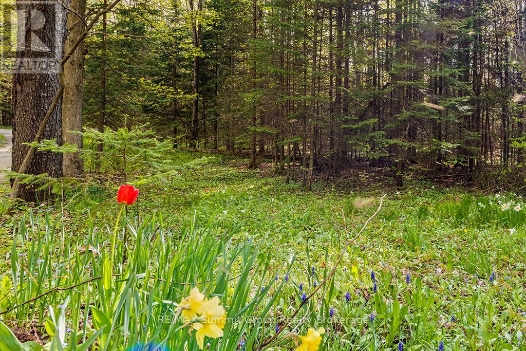 132 South View Lane, Grey Highlands, Ontario  N0C 1B0 - Photo 17 - X12185515