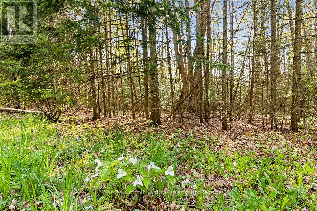 132 South View Lane, Grey Highlands, Ontario  N0C 1B0 - Photo 16 - X12185515