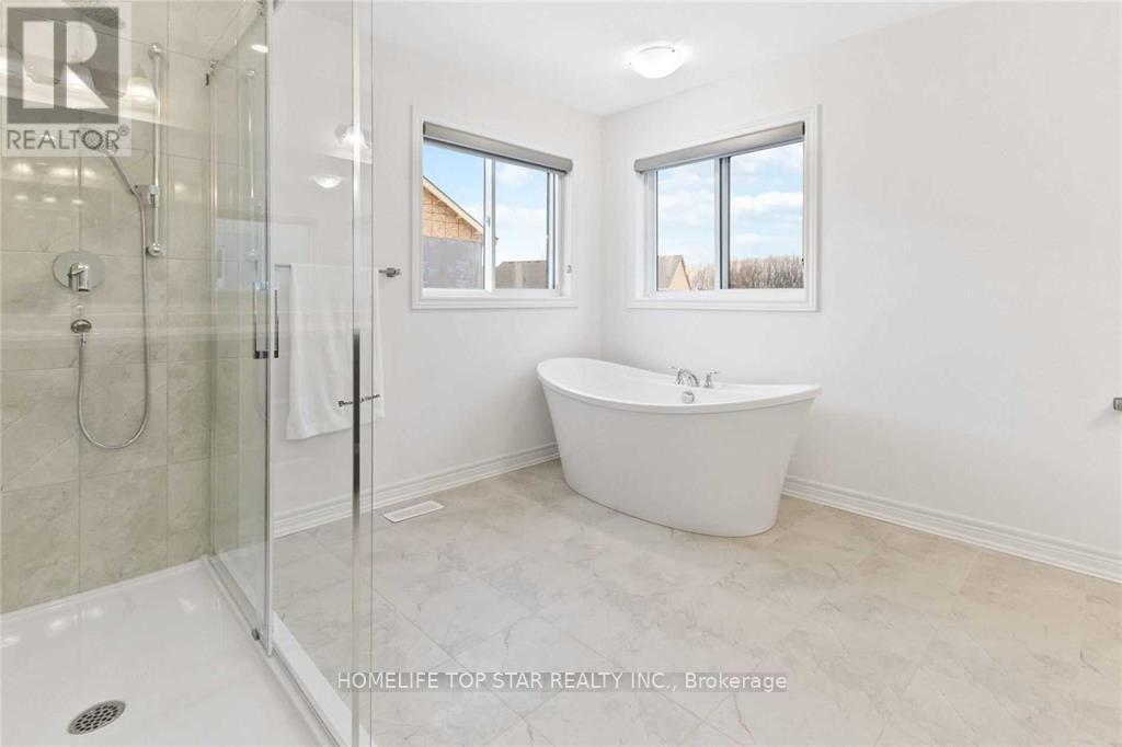 14 Rowland St Street, Collingwood, Ontario  L9Y 3Y9 - Photo 15 - S12185570