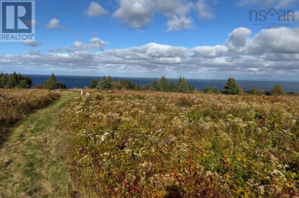 Lot Pid#01290402 Highway 337, Cape George Point, Nova Scotia  B2G 2L2 - Photo 1 - 202426343