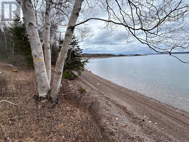 4609 Grand Narrows Highway, Beaver Cove, Nova Scotia  B1T 1P4 - Photo 5 - 202511089