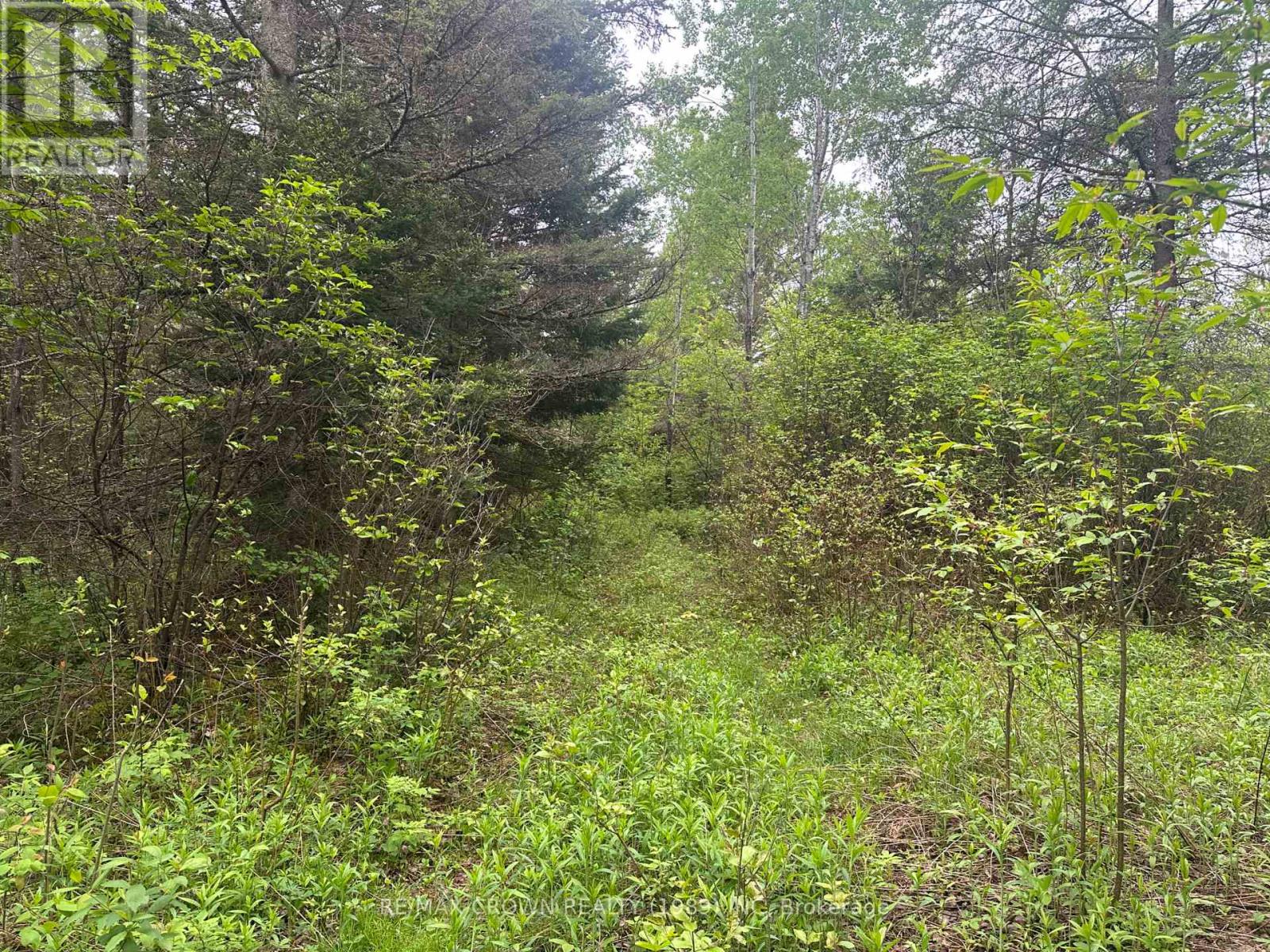 Lot 29 Con 2 Part 1 Grand Desert Road, Bonfield, Ontario  P0H 2E0 - Photo 15 - X12185614