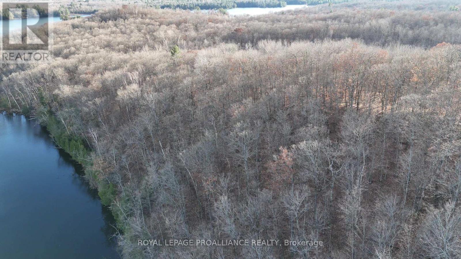 1098 Twin Sisters Lake Road N, Marmora And Lake, Ontario  K0K 2M0 - Photo 5 - X12169897