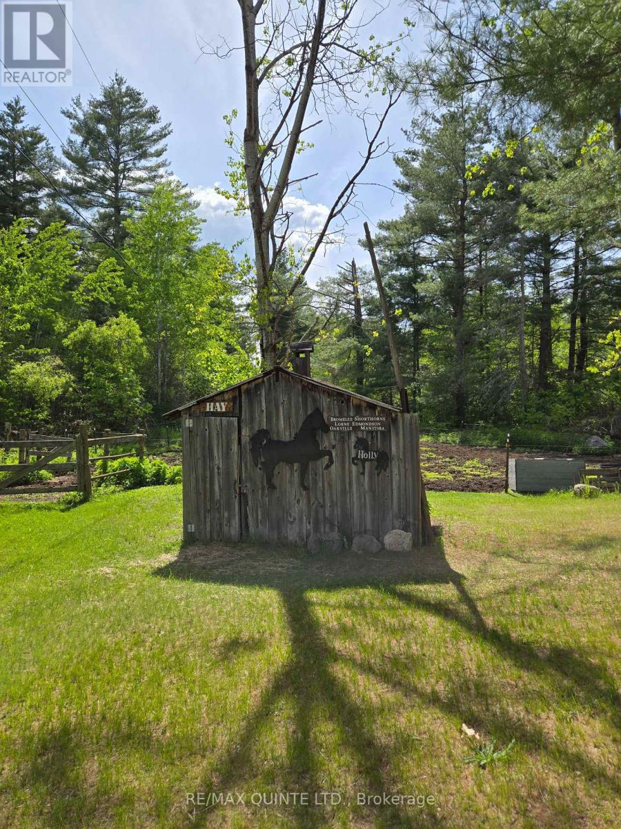 690 Potter Settlement Road, Tweed, Ontario  K0K 3J0 - Photo 41 - X12184201