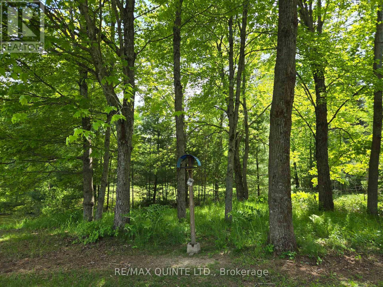 690 Potter Settlement Road, Tweed, Ontario  K0K 3J0 - Photo 43 - X12184201
