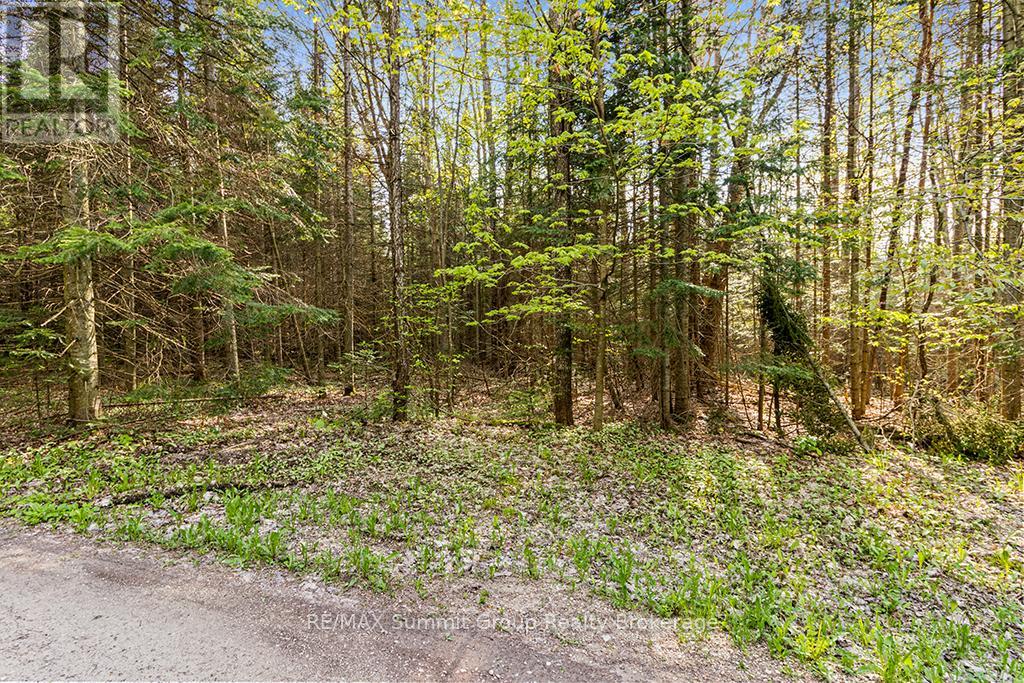 132 South View Lane, Grey Highlands, Ontario  N0C 1B0 - Photo 15 - X12185515