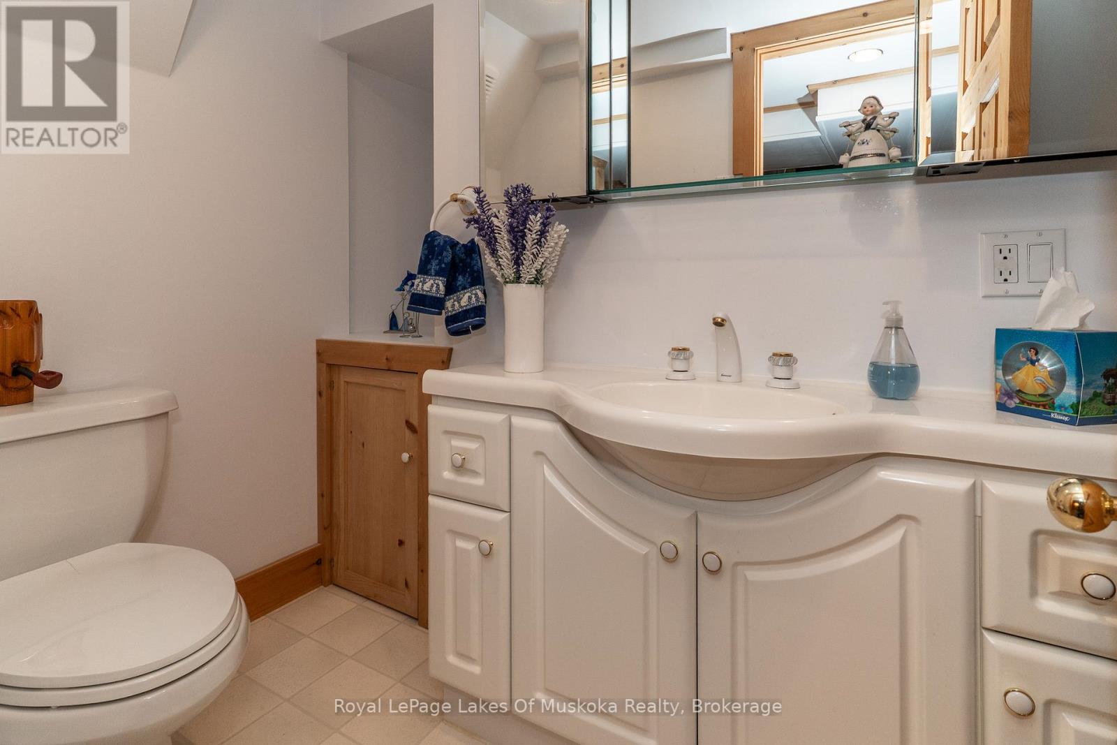 555 Sarah Street N, Gravenhurst, Ontario  P1P 1E9 - Photo 29 - X12188398