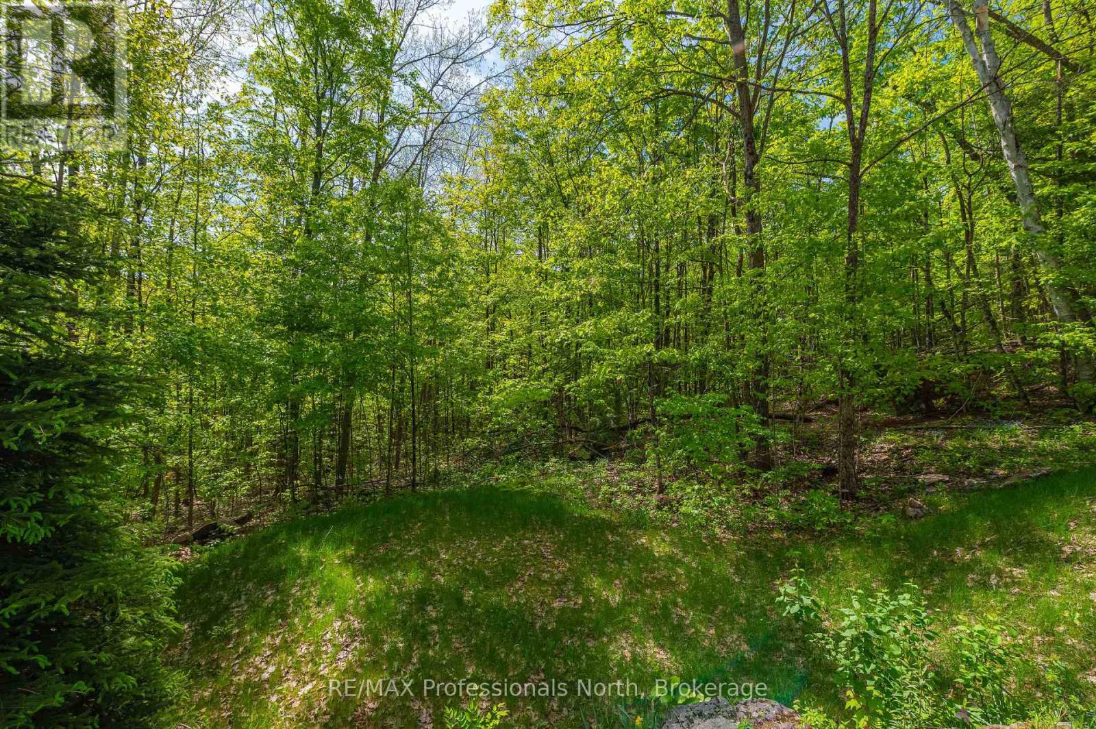 1005 Learners Lane, Minden Hills (Lutterworth), Ontario  K0M 2K0 - Photo 21 - X12188433