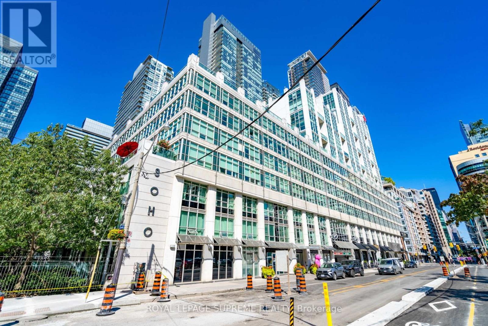 M29 - 350 Wellington Street W, Toronto (Waterfront Communities), Ontario  M5V 3W9 - Photo 3 - C12188443