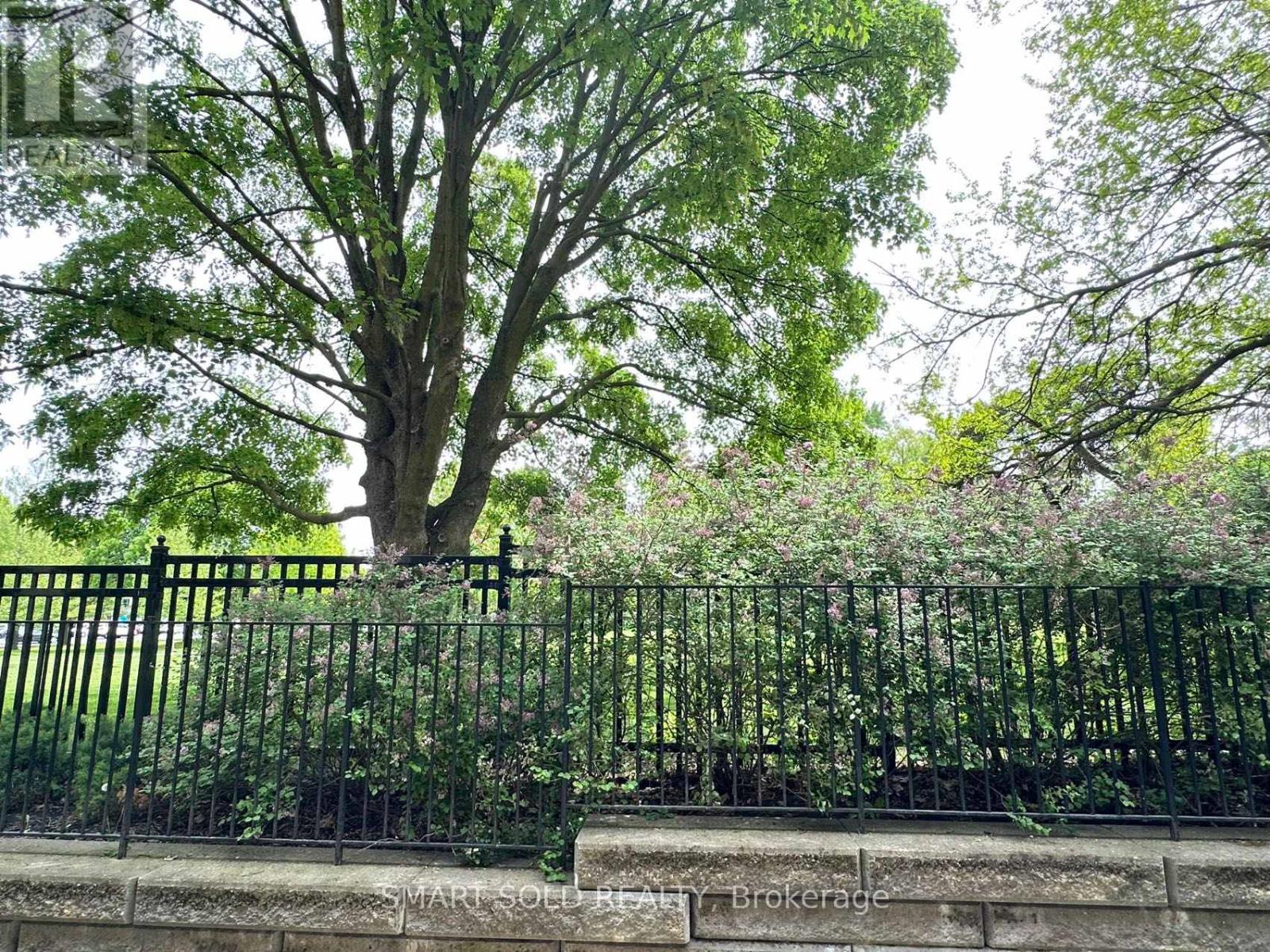 3 - 10 Hargrave Lane, Toronto, Ontario  M4N 0A4 - Photo 3 - C12188570