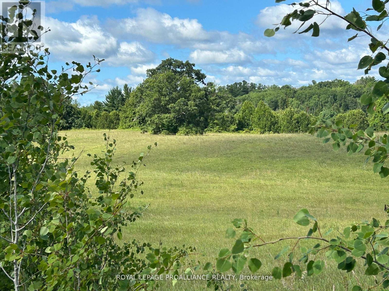 Pt Lt 7 Brook Road, Alnwick/haldimand, Ontario  K0K 2X0 - Photo 15 - X12188630