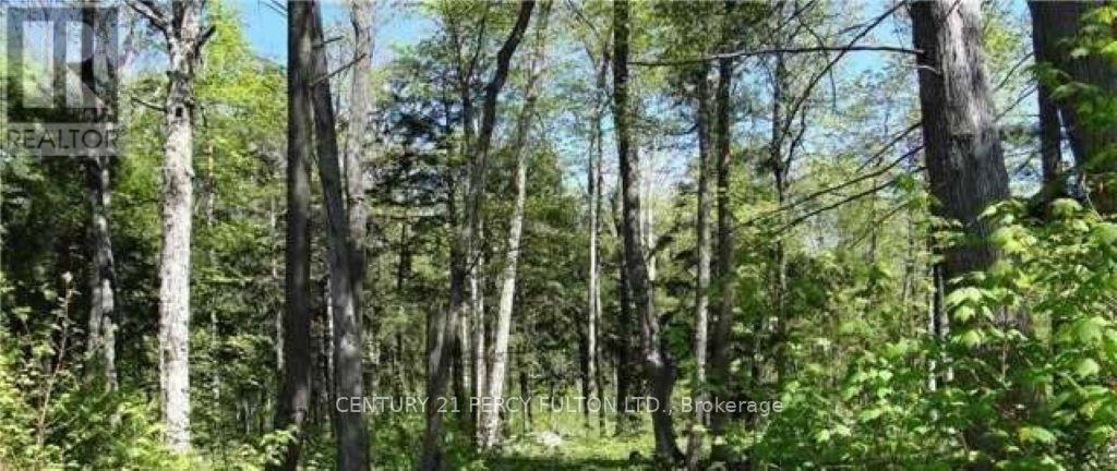 94 Nippissing Ridge Road, Tiny, Ontario  L9M 0H6 - Photo 2 - S12188429