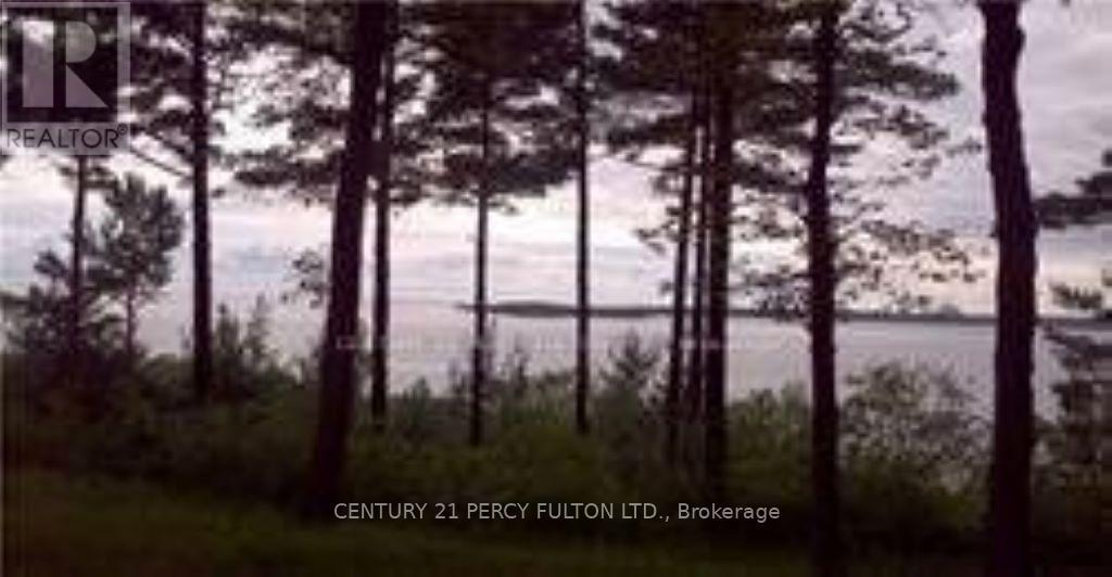 94 Nippissing Ridge Road, Tiny, Ontario  L9M 0H6 - Photo 3 - S12188429