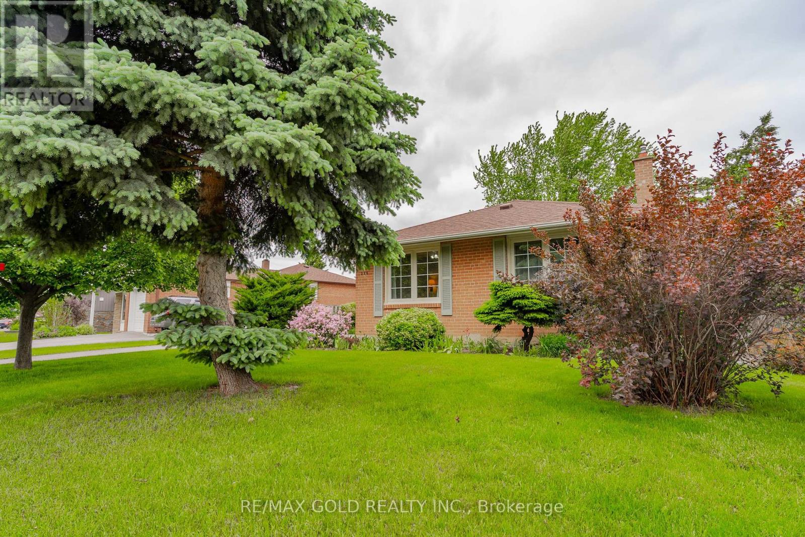 226 Avondale Boulevard, Brampton, Ontario  L6T 1J4 - Photo 3 - W12188539