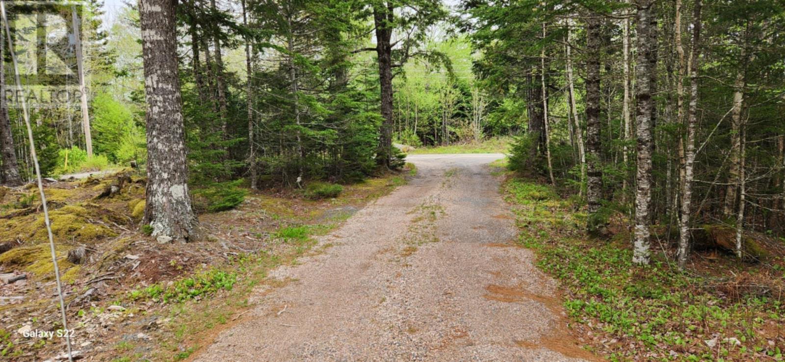 M68 92 Pine Hill Drive, Vaughan, Nova Scotia  B0N 2T0 - Photo 9 - 202508629