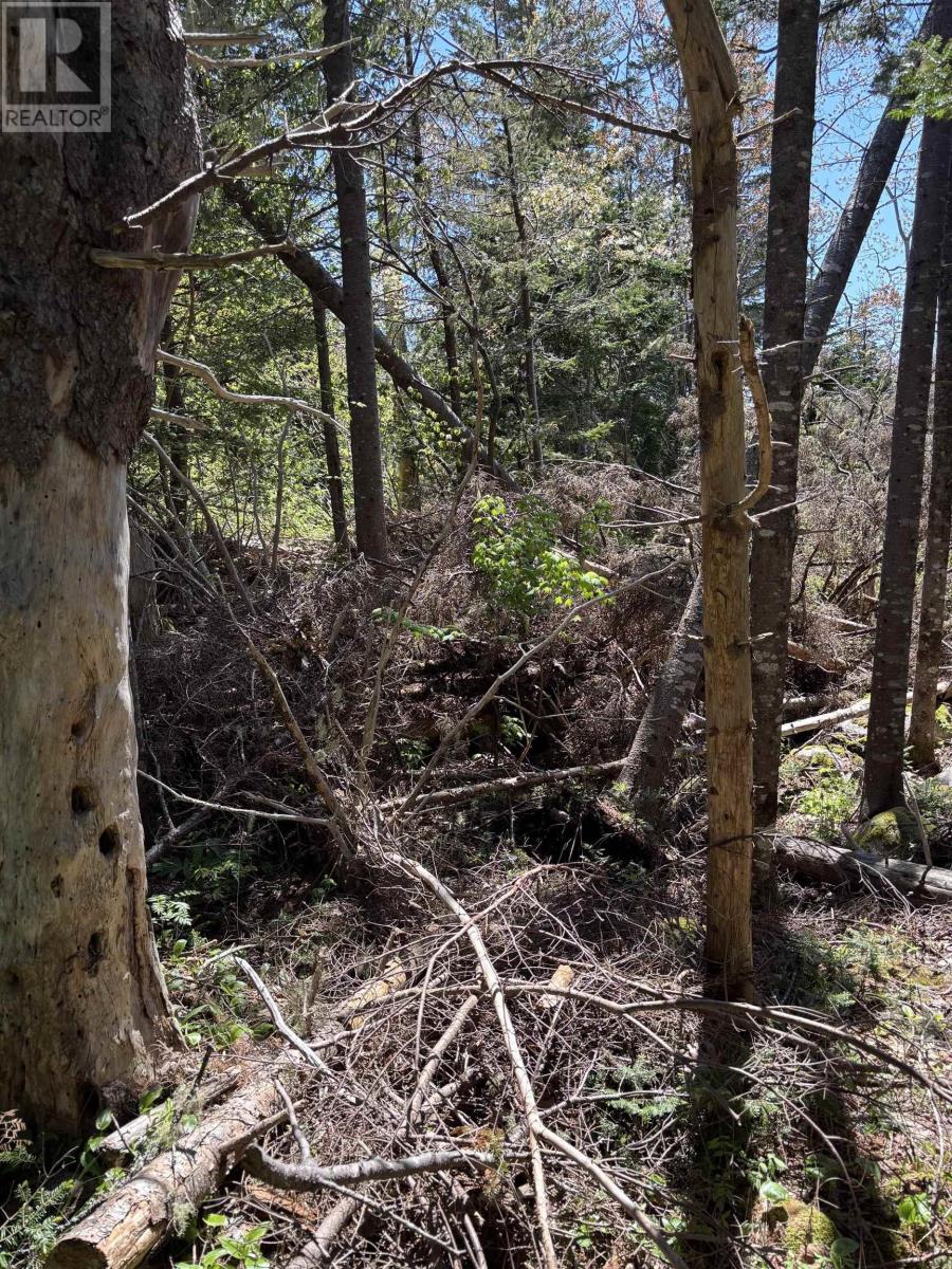 Lot D And C1 Lumber Point Road, Hubbards, Nova Scotia  B0J 1T0 - Photo 3 - 202512615