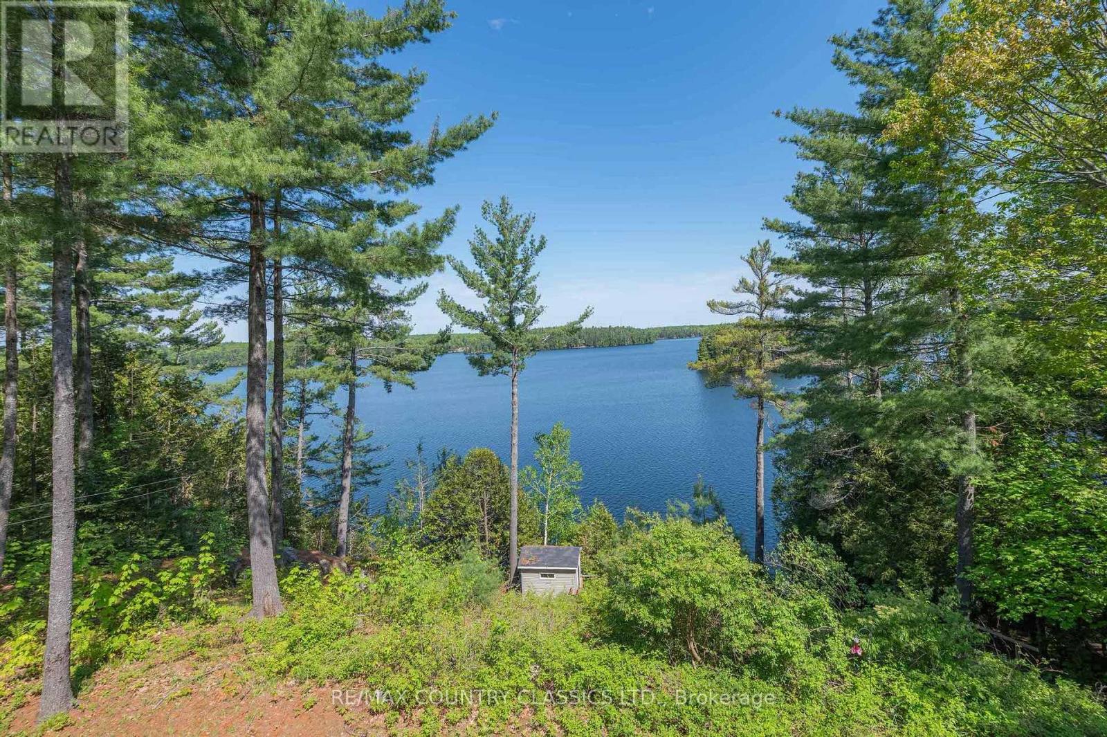 782 Standish Lane, North Kawartha, Ontario  K0L 1A0 - Photo 6 - X12025351