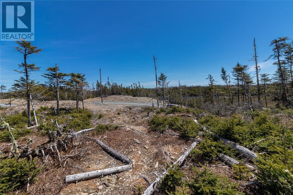 78 Inner Pond North Road, Ocean Pond, Newfoundland & Labrador  A0B 3K0 - Photo 11 - 1285763