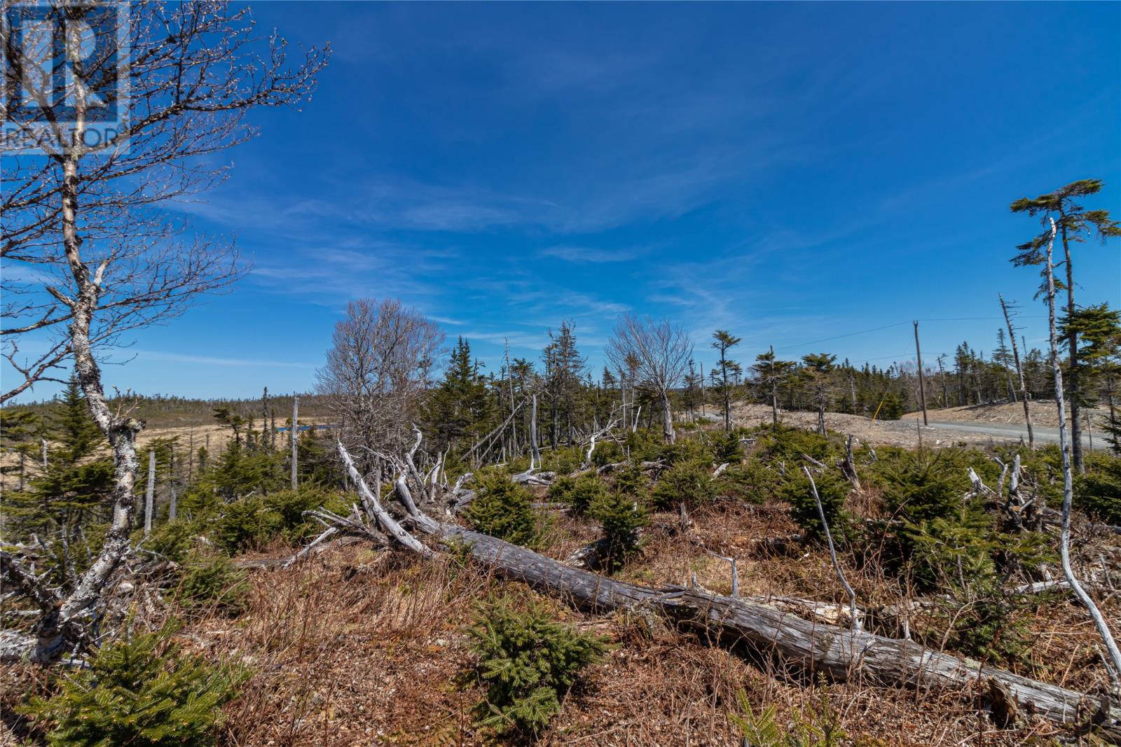 78 Inner Pond North Road, Ocean Pond, Newfoundland & Labrador  A0B 3K0 - Photo 9 - 1285763