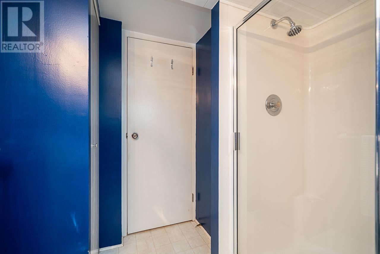 86 W 20th Avenue, Vancouver, British Columbia  V5Y 2C1 - Photo 29 - R3009581