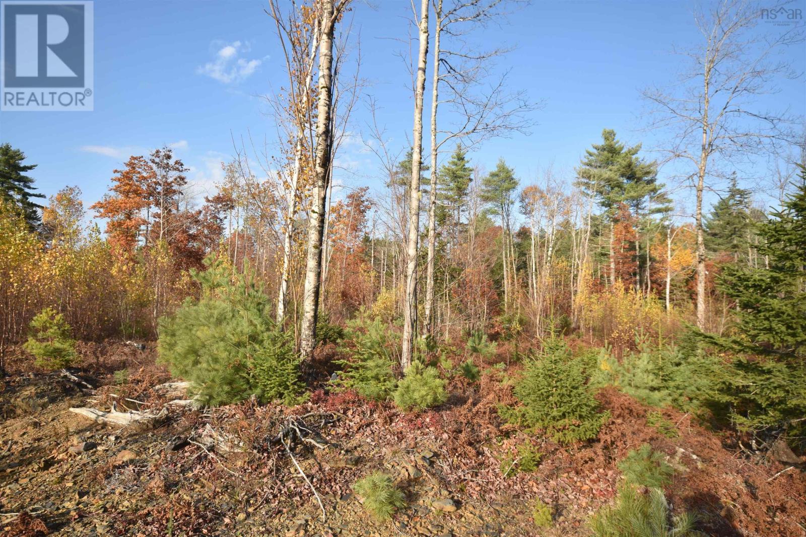 Lot 25-1 Upper Branch Road, Midville Branch, Nova Scotia  B4V 4S9 - Photo 1 - 202509707