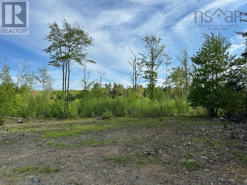 Lot 25-1 Upper Branch Road, Midville Branch, Nova Scotia  B4V 4S9 - Photo 4 - 202509707
