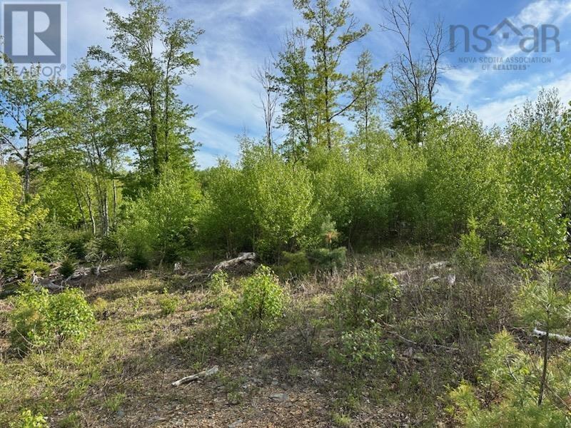 Lot 25-1 Upper Branch Road, Midville Branch, Nova Scotia  B4V 4S9 - Photo 6 - 202509707