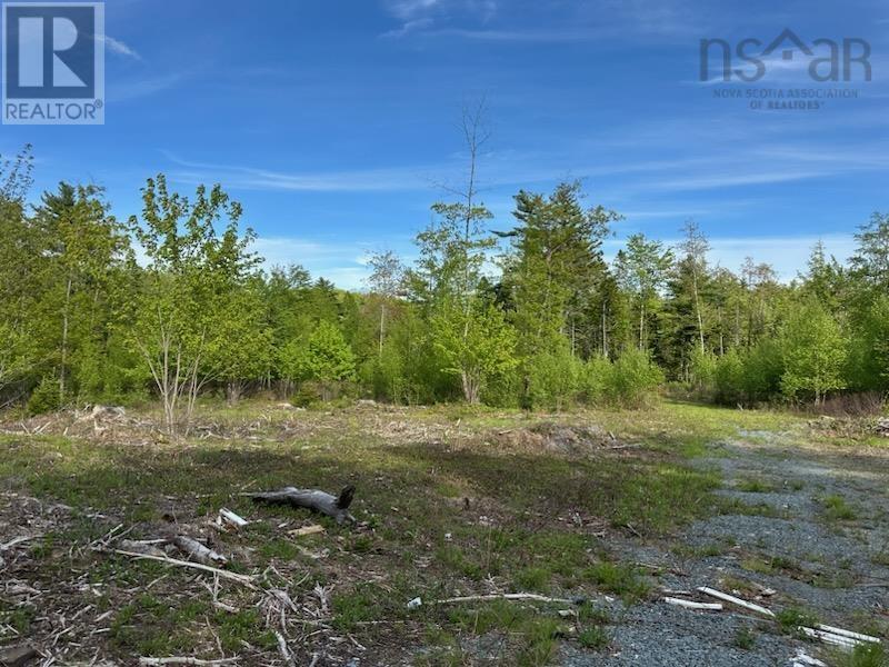 Lot 25-1 Upper Branch Road, Midville Branch, Nova Scotia  B4V 4S9 - Photo 5 - 202509707